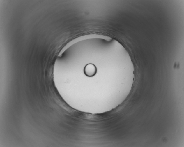 X0000112520336200909141228
