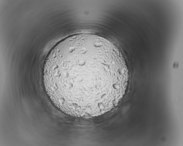 X0000112520337200909141228