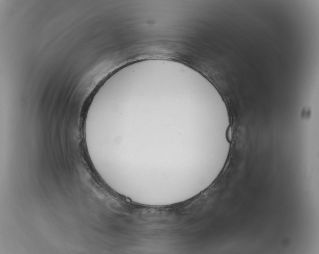 X0000112520338200909141228