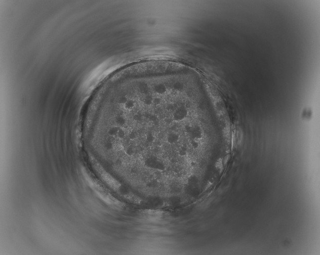 X0000112520339200909141228