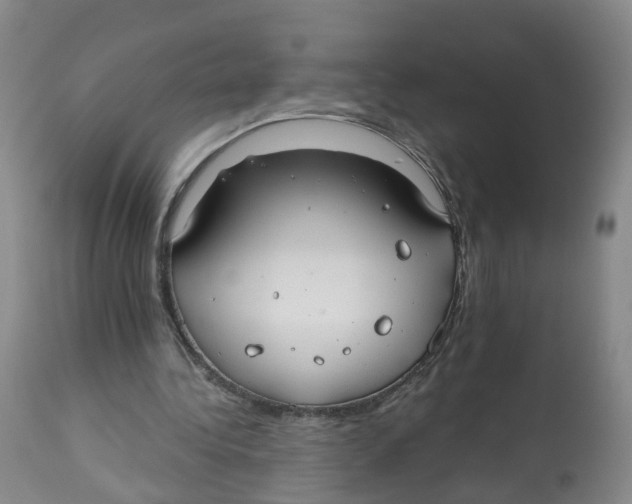 X0000112520340200909141228