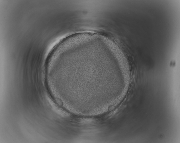 X0000112520342200909141228