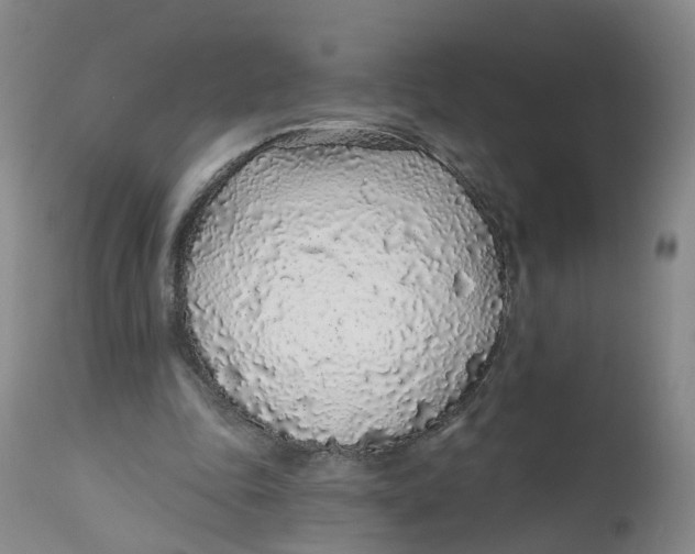 X0000112520343200909141228