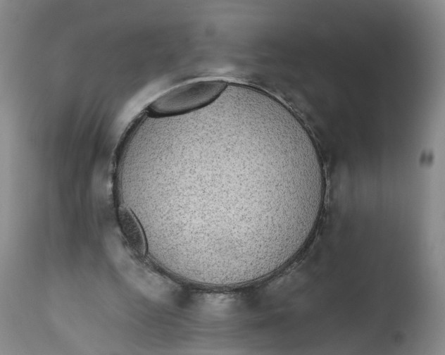 X0000112520344200909141228