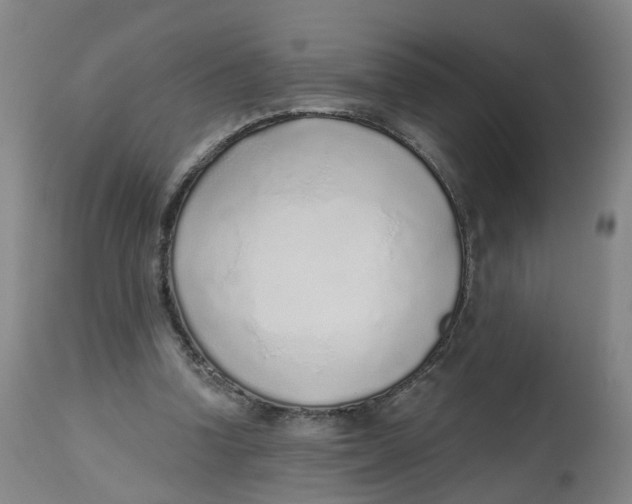 X0000112520346200909141228