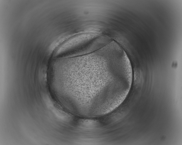 X0000112520348200909141228