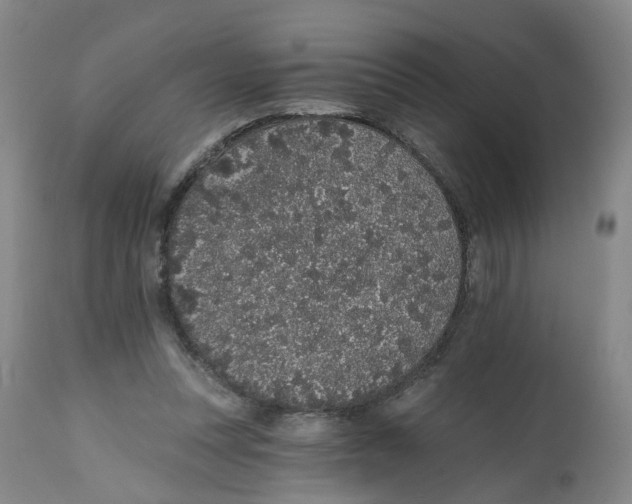 X0000112520351200909141228