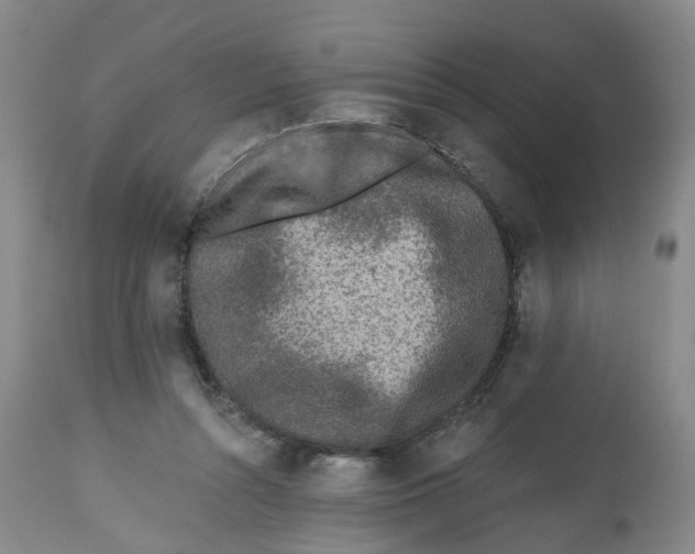 X0000112520352200909141228