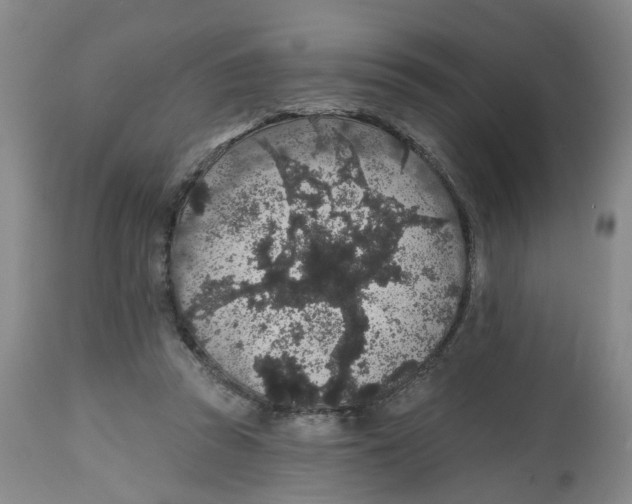 X0000112520353200909141228