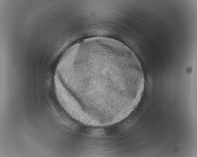 X0000112520355200909141228