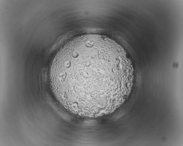 X0000112520357200909141228