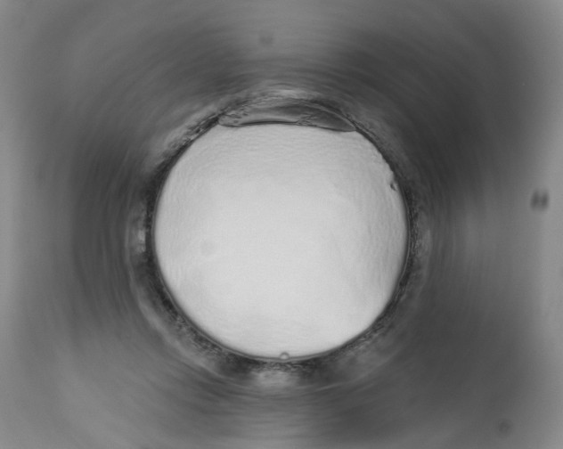 X0000112520358200909141228