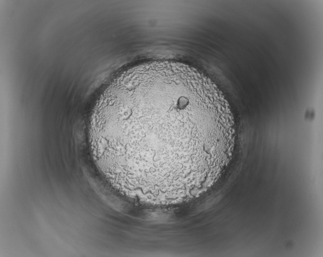 X0000112520359200909141228