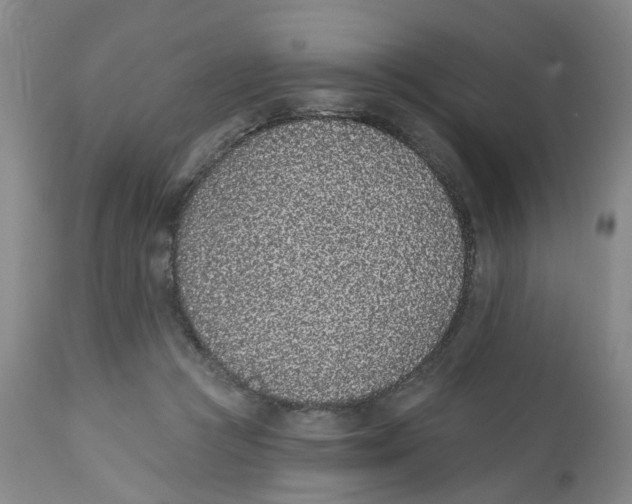 X0000112520361200909141228