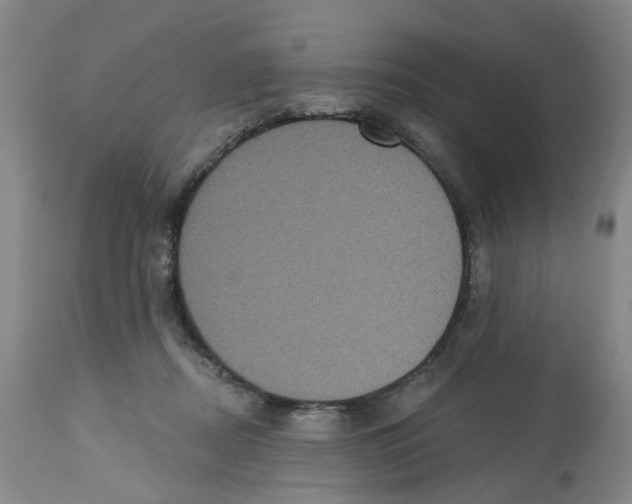 X0000112520362200909141228