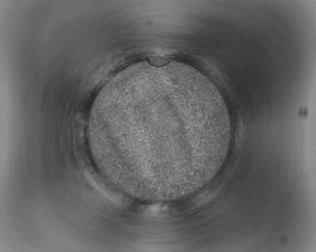 X0000112520366200909141228