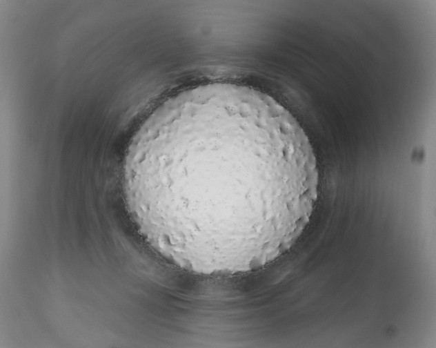 X0000112520367200909141228