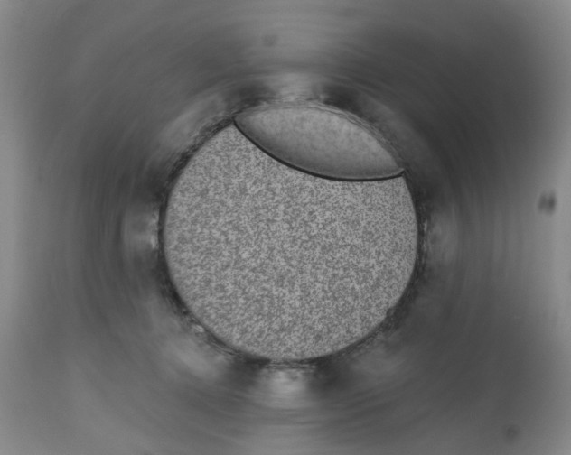 X0000112520368200909141228