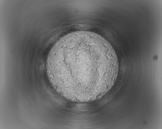 X0000112520371200909141228