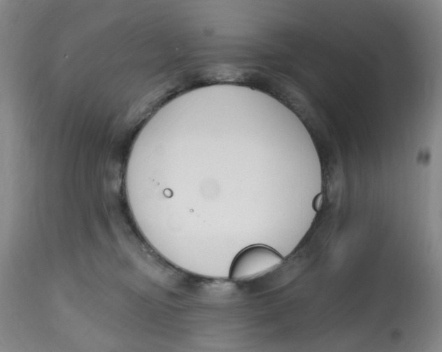 X0000112520374200909141228