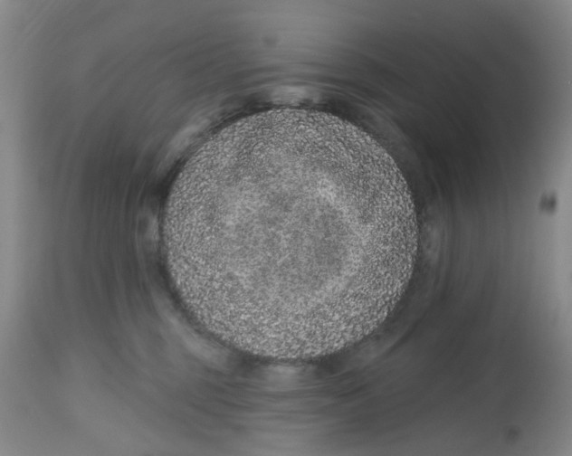 X0000112520375200909141228