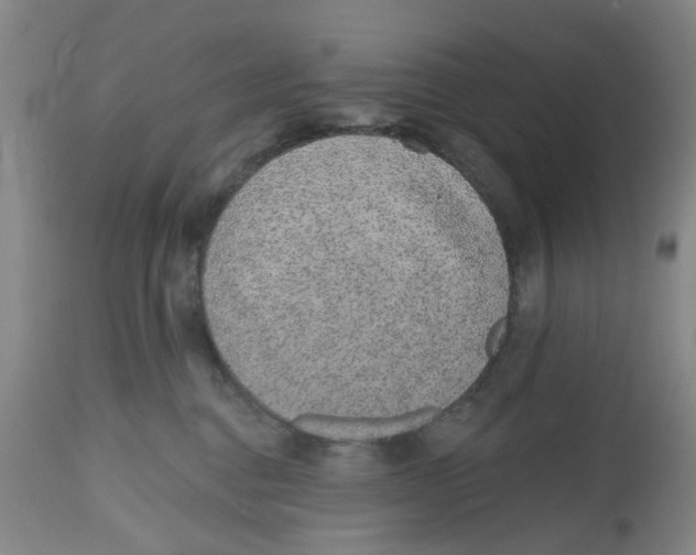 X0000112520376200909141228
