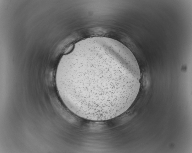 X0000112520378200909141228