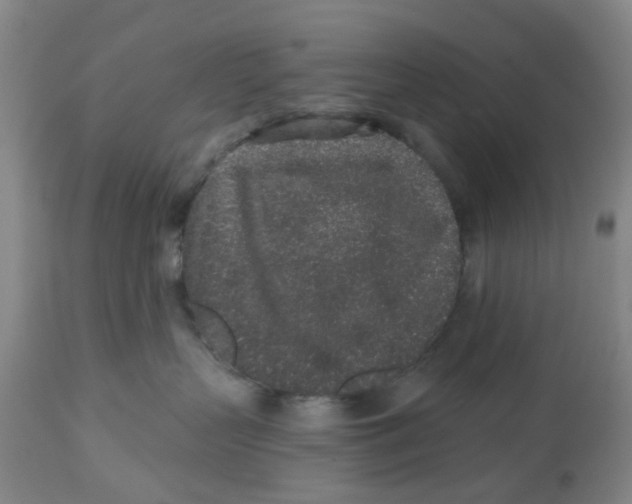 X0000112520383200909141228