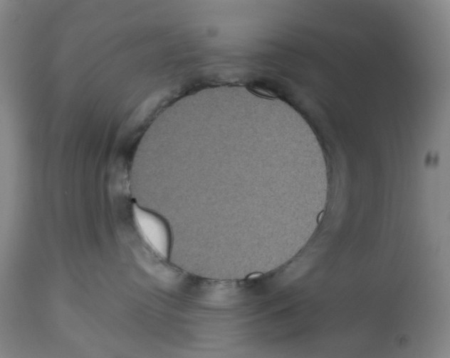 X0000112520384200909141228