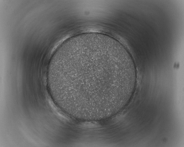 X0000112520386200909141228