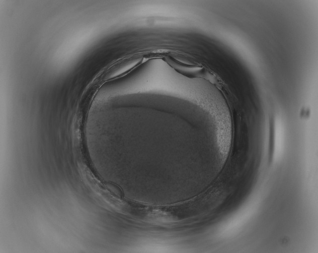 X0000112520387200909141228
