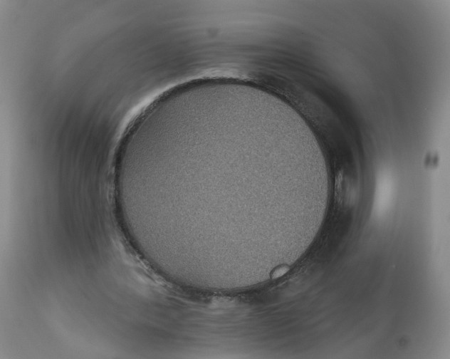 X0000112520388200909141228