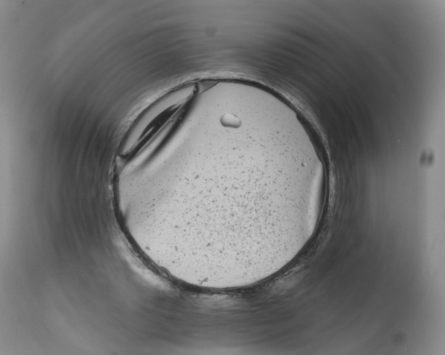 X0000112520389200909141228