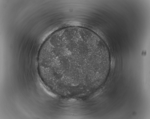 X0000112520390200909141228