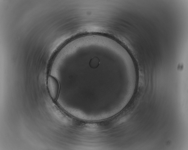 X0000112520391200909141228