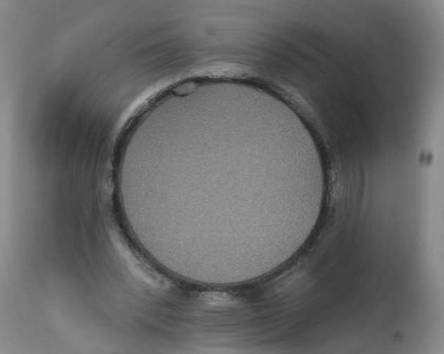 X0000112520392200909141228