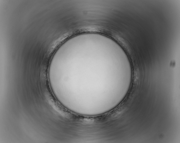 X0000112520394200909141228