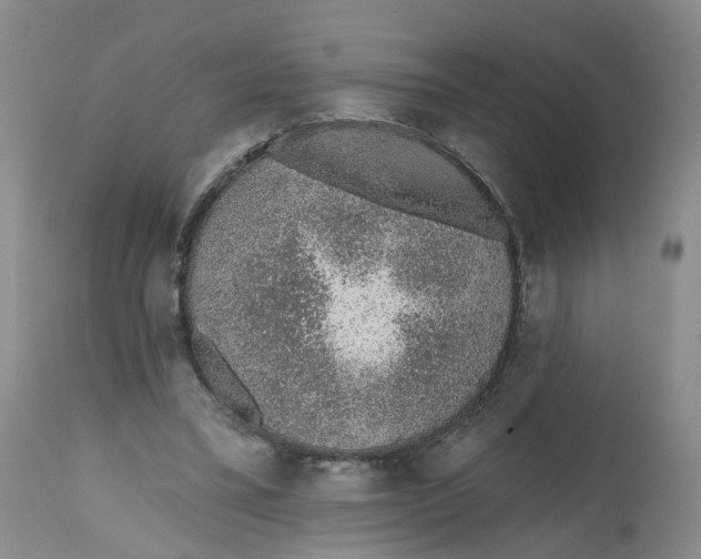 X0000112520395200909141228