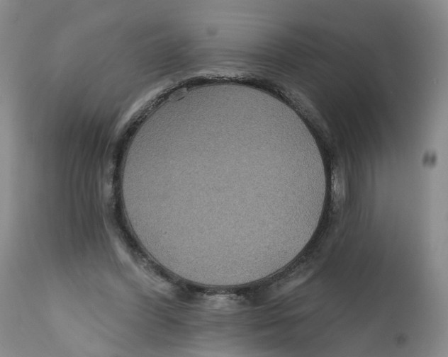 X0000112520396200909141228