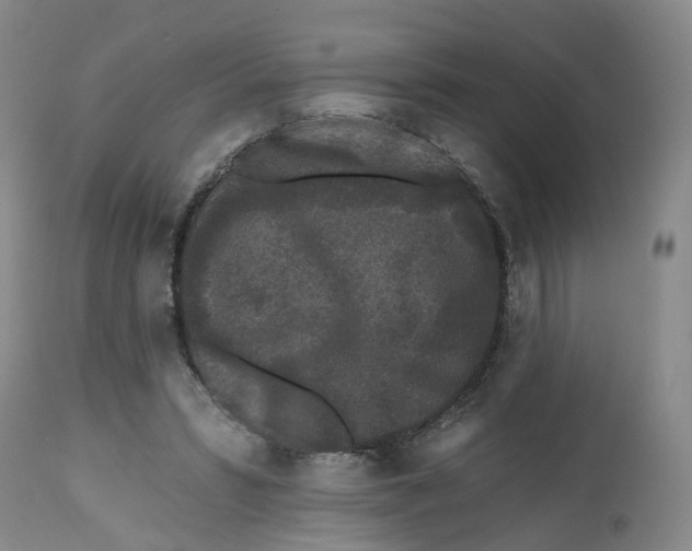 X0000112520399200909141228