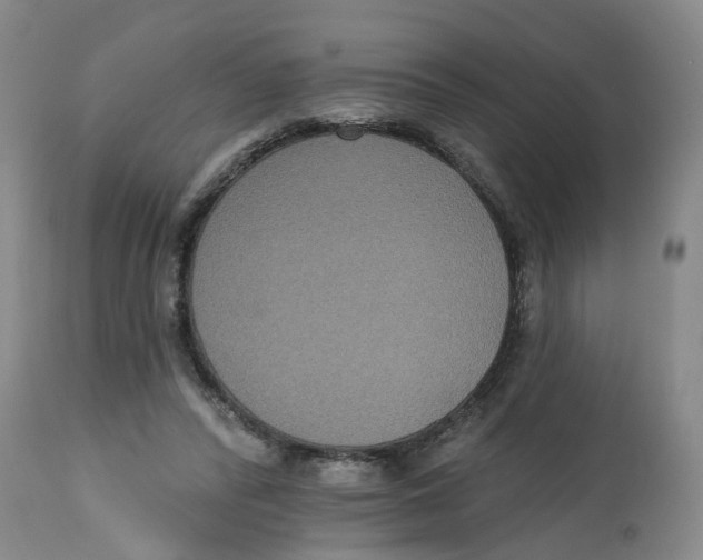 X0000112520400200909141228