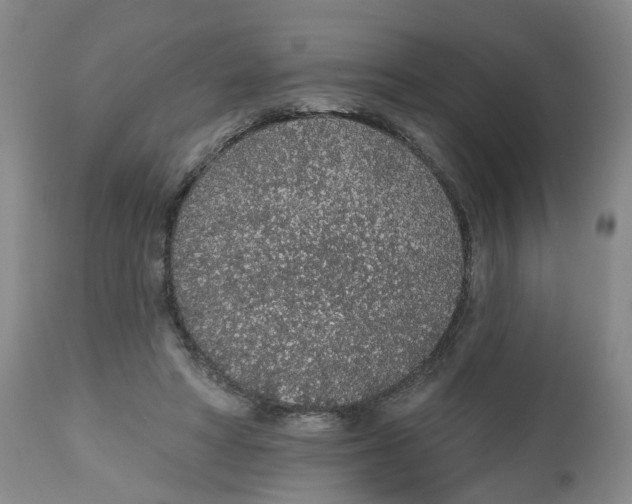 X0000112520402200909141228
