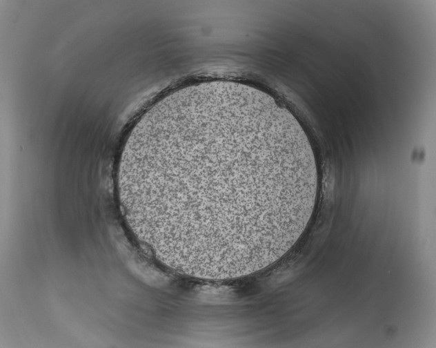 X0000112520403200909141228