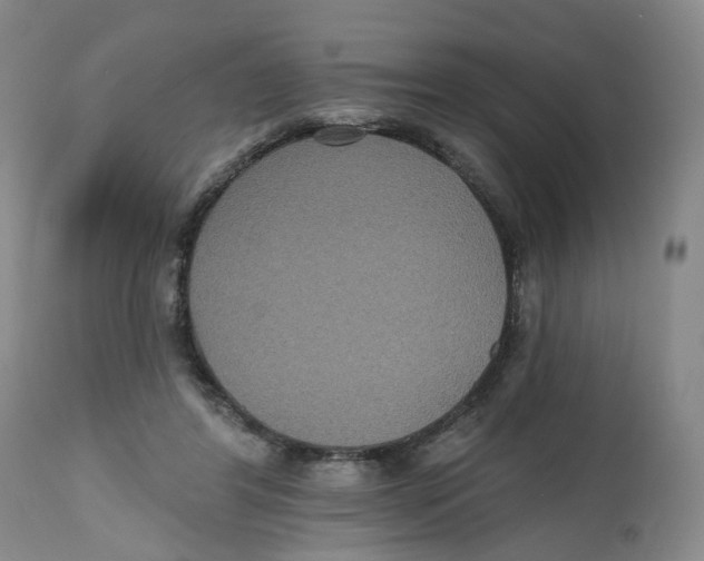 X0000112520404200909141228