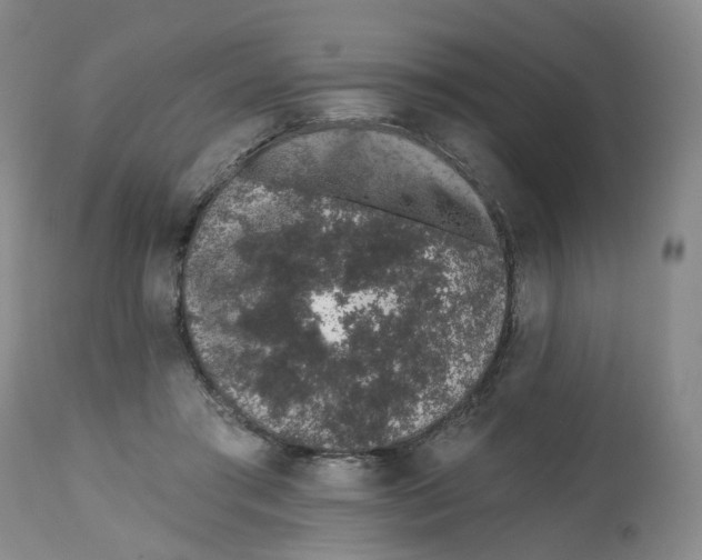 X0000112520405200909141228