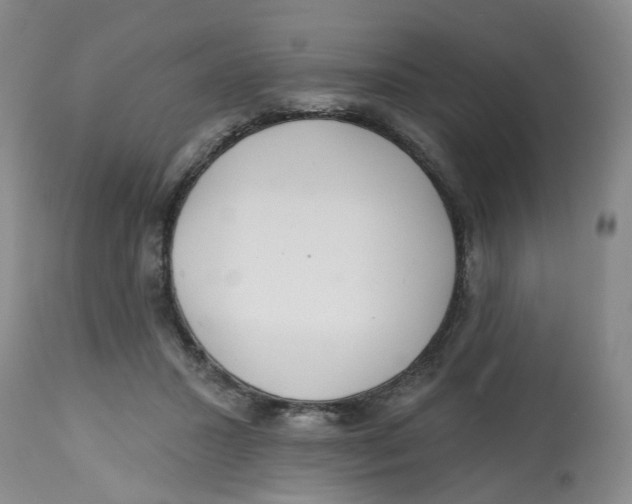 X0000112520407200909141227
