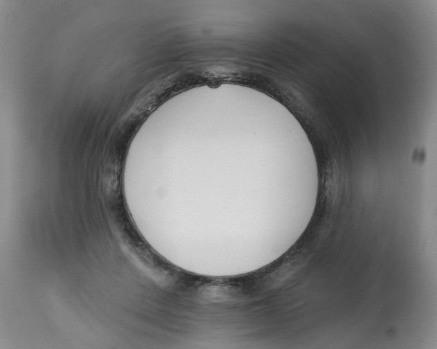 X0000112520408200909141227