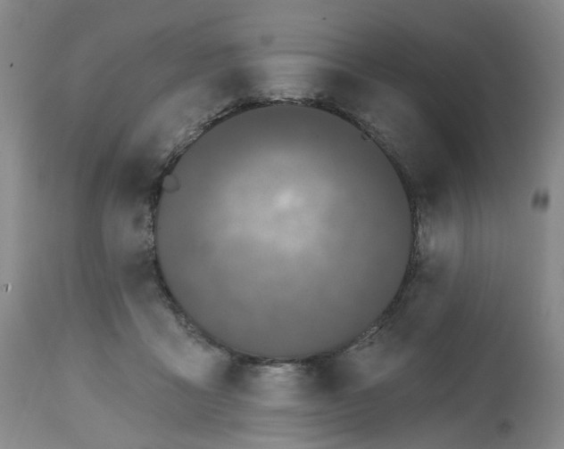 X0000112520411200909141227
