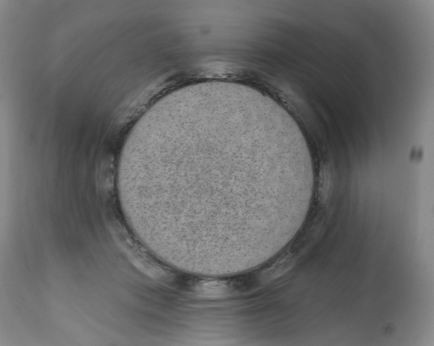X0000112520413200909141227