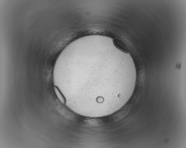 X0000112520417200909141227